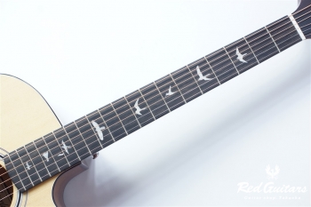 AX20E